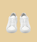 Test Shoes